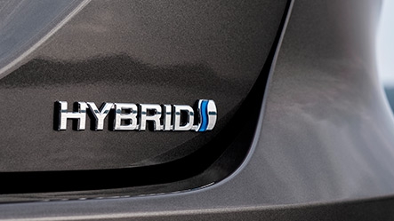 Camry_2019_062555bochten.jpg
